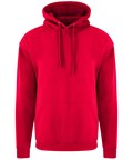 Red RX350 Hoodie