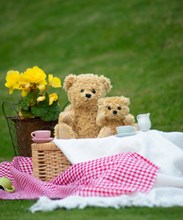 Ours classique articulé