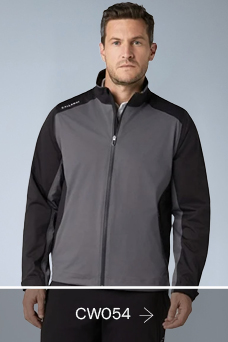 RAL17471 Sectors Blog Golf4.jpg