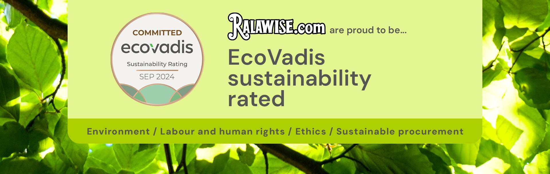 ecovadis-landingpage