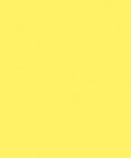 Fluorescent Yellow