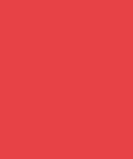 Neon Red      
