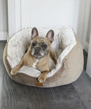 Dog butterfly bed