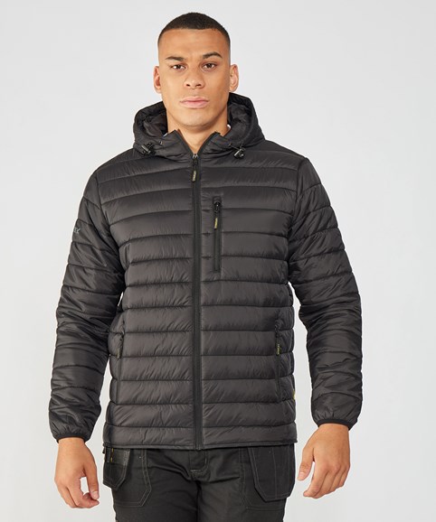 Westby padded jacket