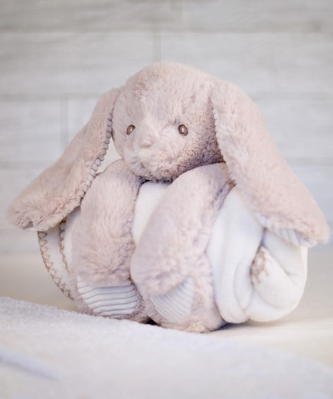 Rabbit and blanket