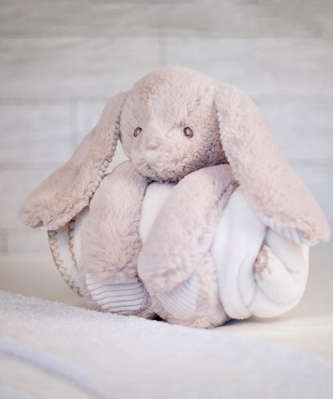 Rabbit and blanket