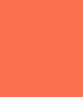 Bright Neon Orange