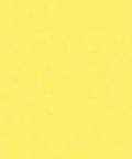 Paint Yellow