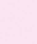 Pastel Pink