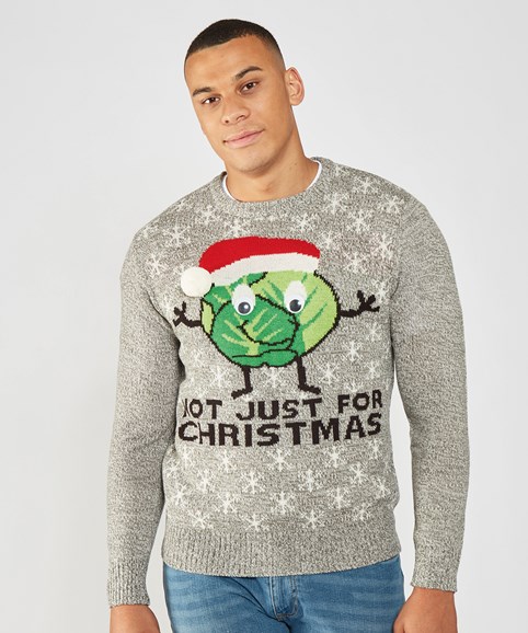 Adults sprouts 'Not Just For Christmas' jumper